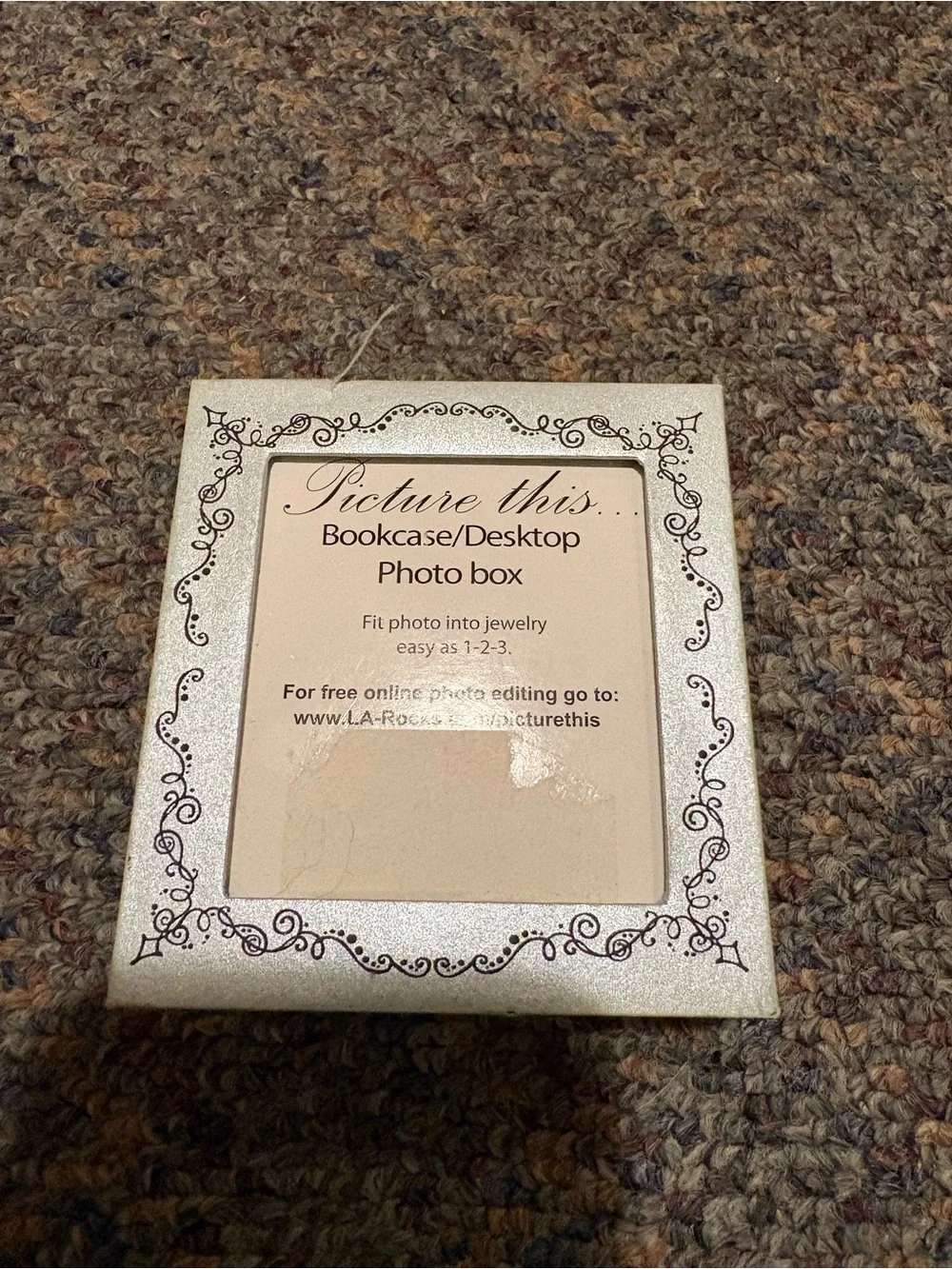 Picture This Bookcase/Desktop Photo Box - Shimmery Cream Frame